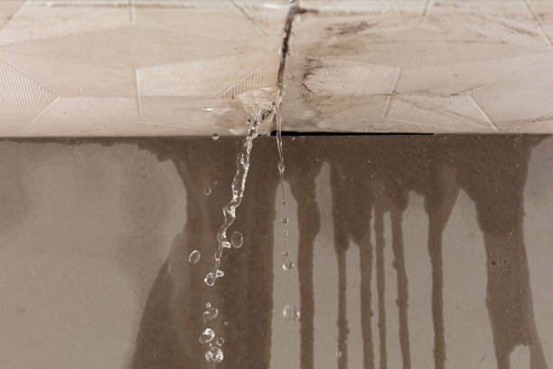 Professional Water Damage Repair technician working in Pattison, TX